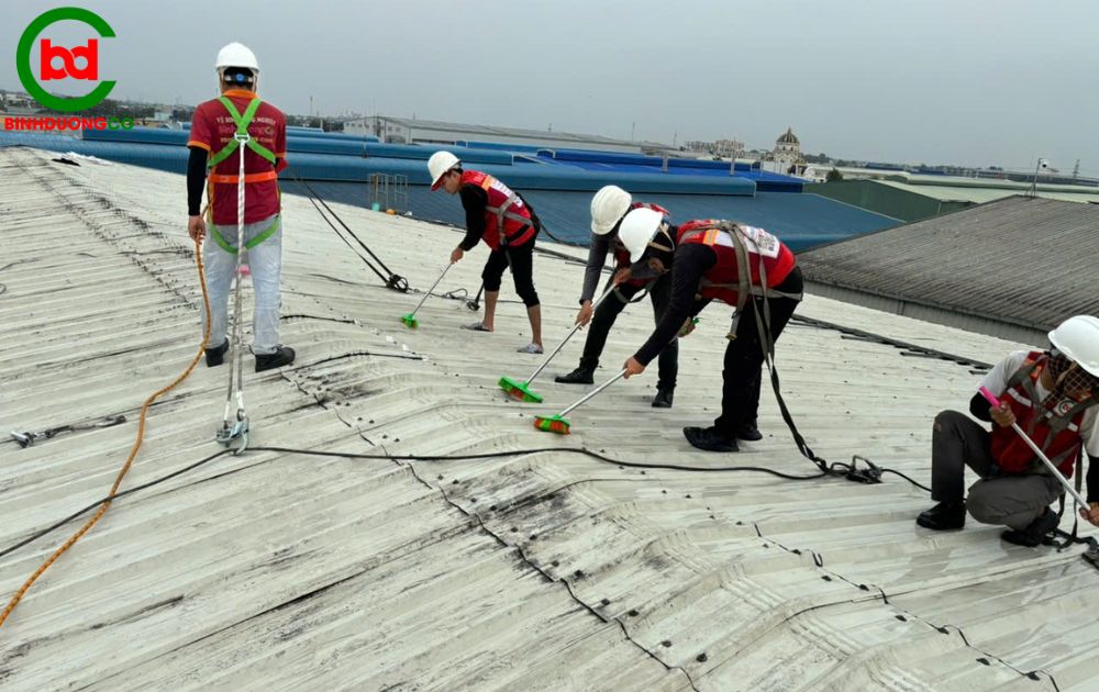 cam kết về chất lượng và an toàn