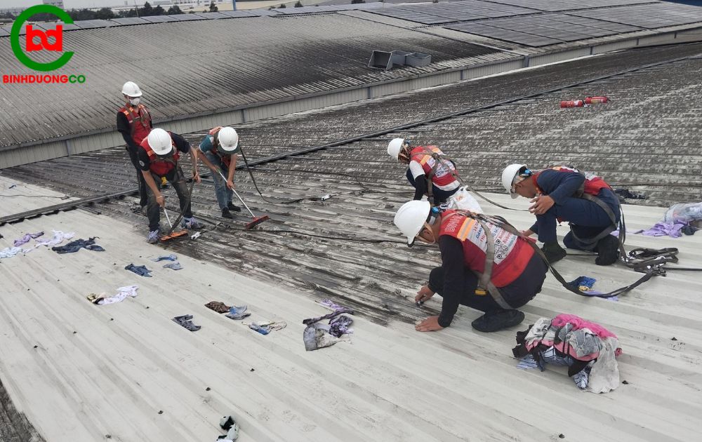 nguyên nhân khiến mái nhà xưởng bị bẩn